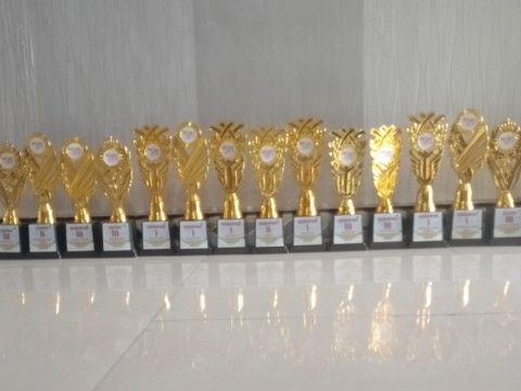 SMAN 2 Kahayan Tengah Borong 17 Piala di FLS3N Kabupaten Pul